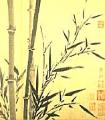 Bamboo